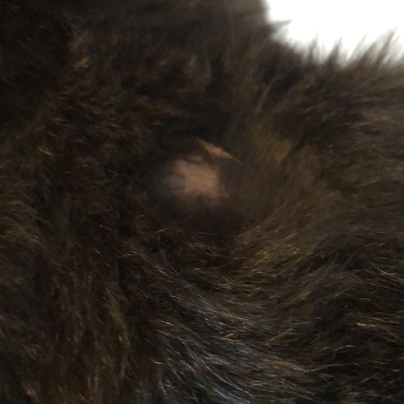 Andrew Marc Leather Jacket with Removal Vest - Picture 15 of 15